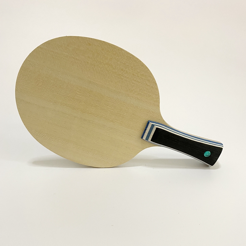 Lemuria VIS Carbon Fiber Tafel - Table Tennis Loki recensie en prijs