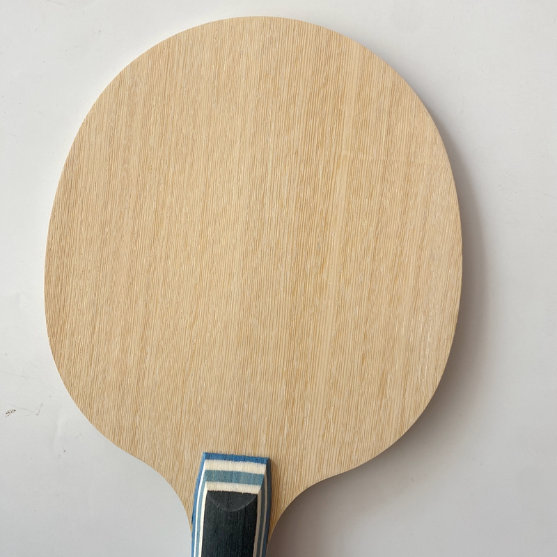 Lemuria VIS Carbon Fiber Tafel - Table Tennis Loki recensie en prijs