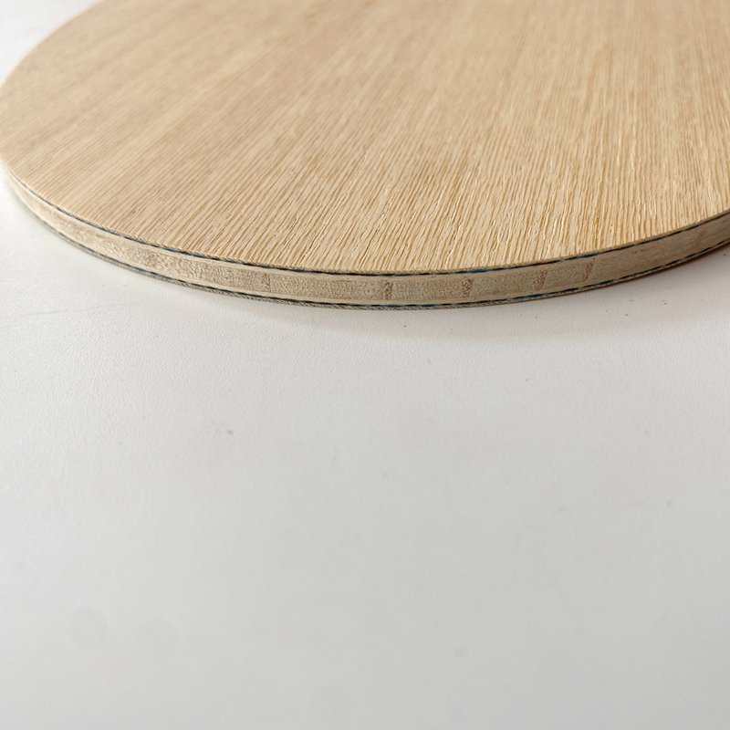Lemuria VIS Carbon Fiber Tafel - Table Tennis Loki recensie en prijs